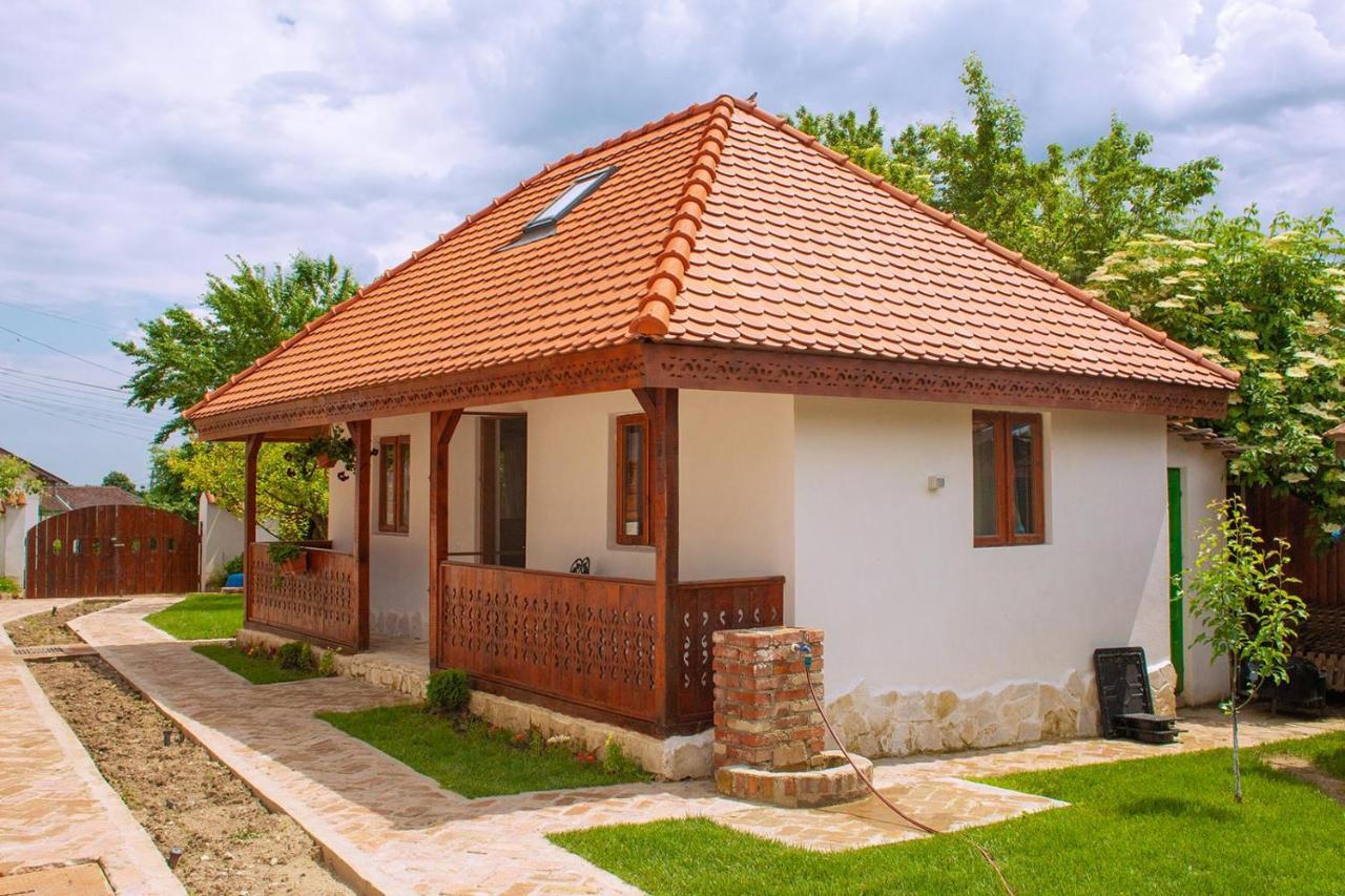 Conacul Grigorescu Ratesti Luaran gambar